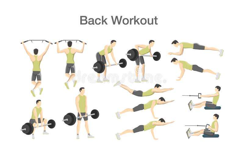 back workout men different tools back workout men barbell exercise machine sport exercise muscle 125842706